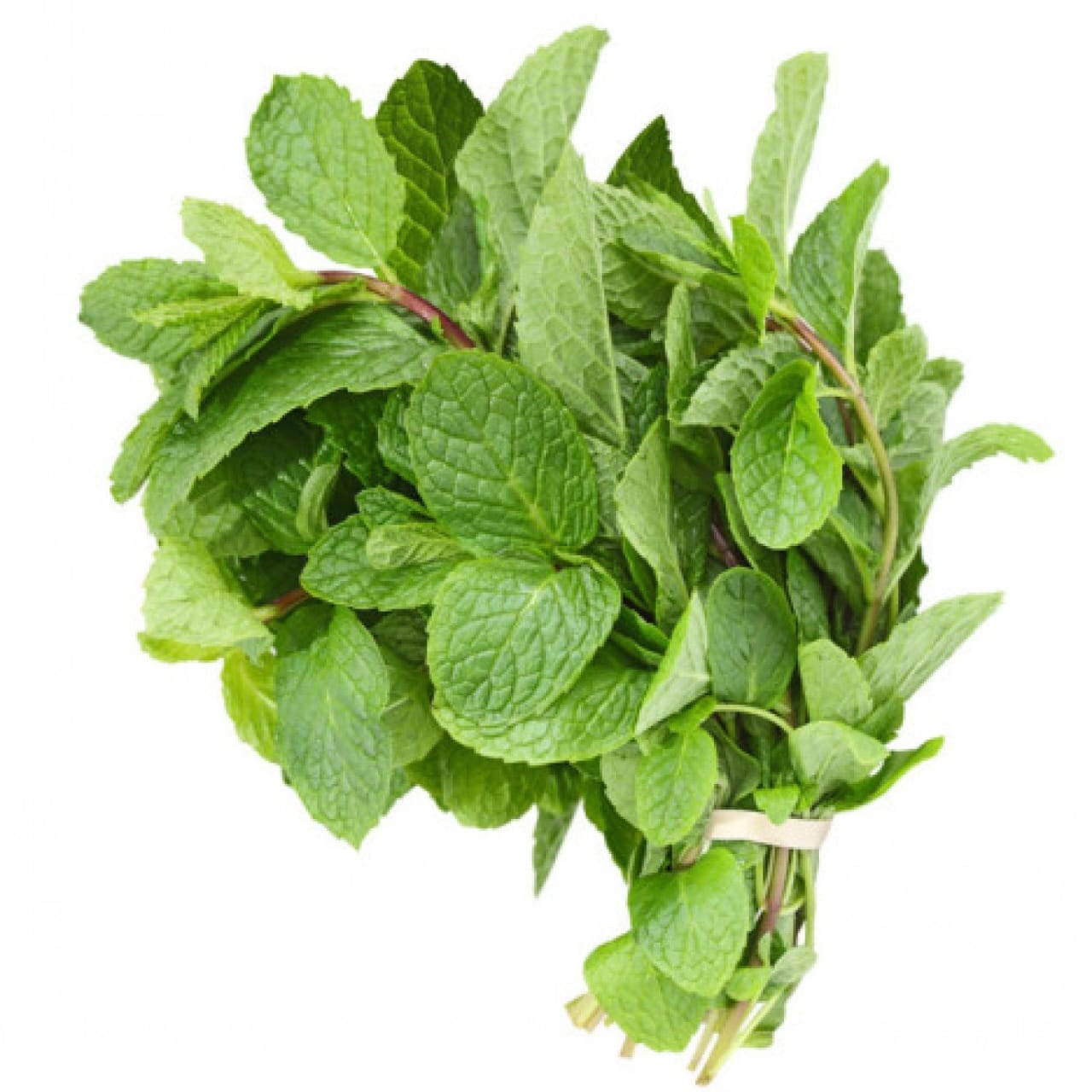 Mint leaf, bunch, sourced from Ogun State, Jos