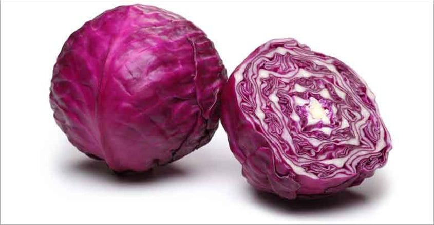 Purple Cabbage, head, sourced from Ogun State, Jos